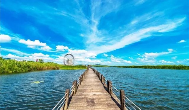 请问上海周边100公里左右自驾游有哪些景点推荐？