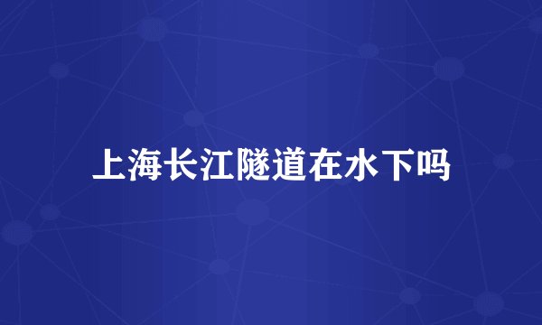 上海长江隧道在水下吗