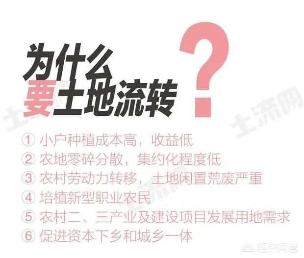 农村耕地出租多少钱一亩？直补归谁？