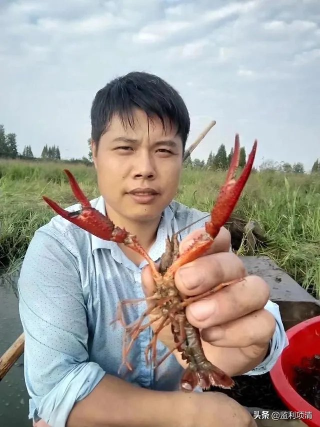 养殖小龙虾,水质该如何管理,日常管理要注意什么？