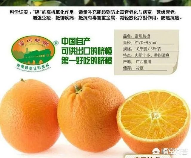 过年各地有什么特色美食？