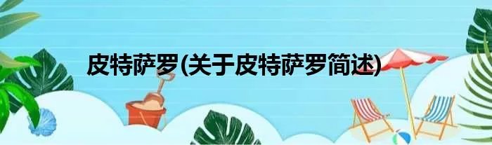 皮特萨罗(关于皮特萨罗简述)