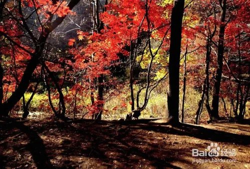 关门山旅游攻略