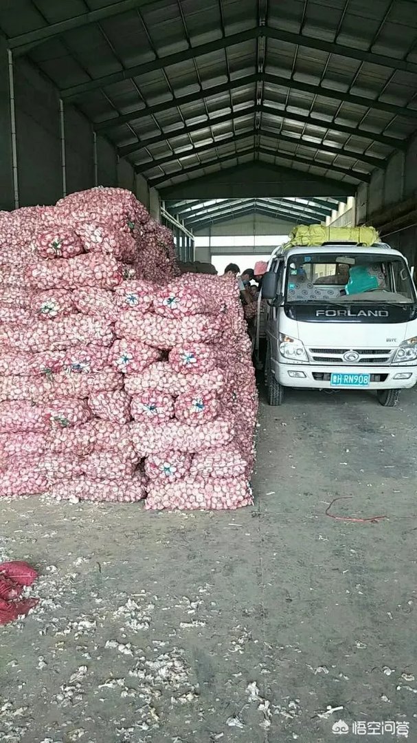 2018年的大蒜到底是会涨价还是会掉价？