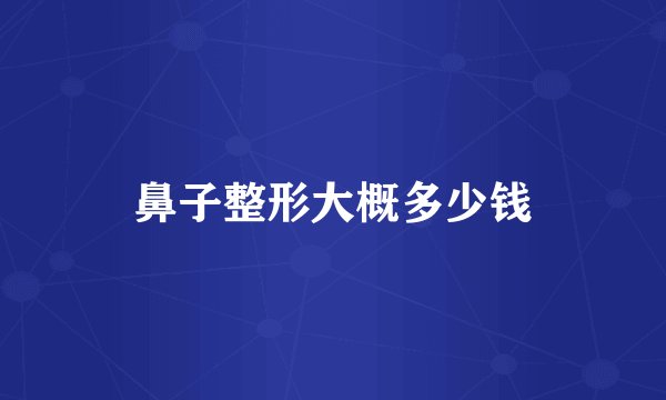 鼻子整形大概多少钱