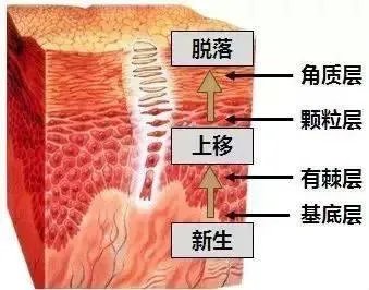 角质护理就是单纯的去角质吗？应该怎样做角质护理？