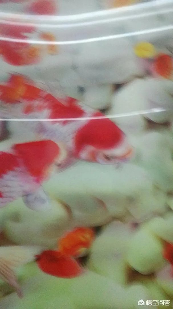 亚冠连踢泰国球队艰难取胜，上港真的能威胁到恒大吗？