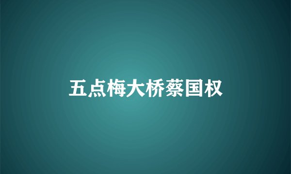 五点梅大桥蔡国权