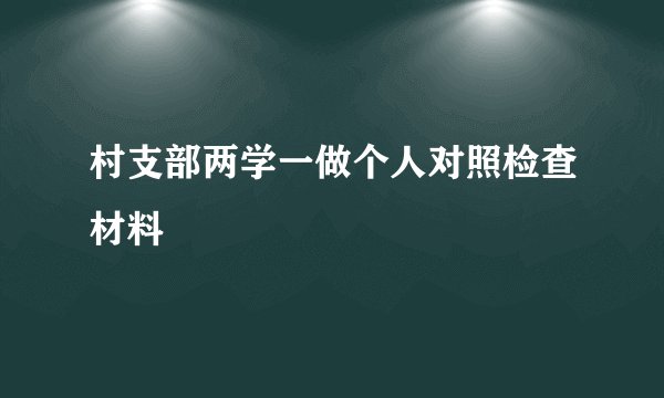 村支部两学一做个人对照检查材料