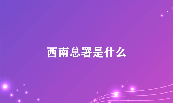西南总署是什么