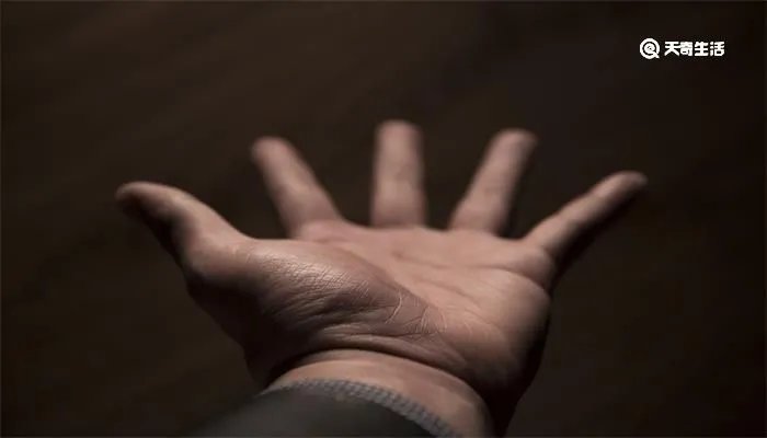 人的手五个指头分别叫什么