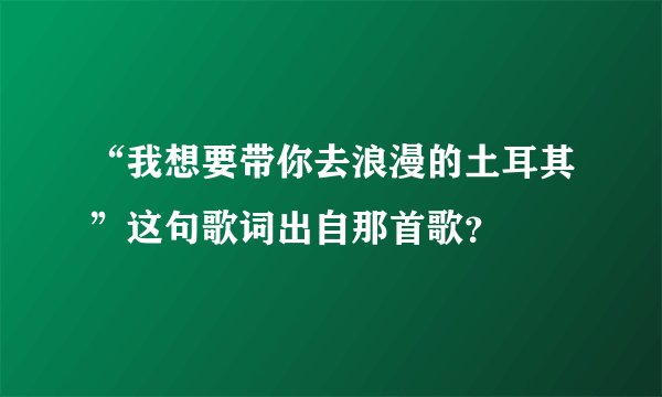 “我想要带你去浪漫的土耳其”这句歌词出自那首歌？