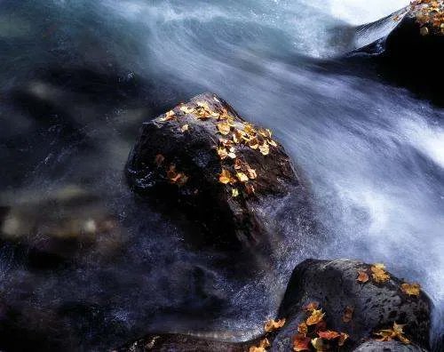 像四川话火炮的官话有什么?